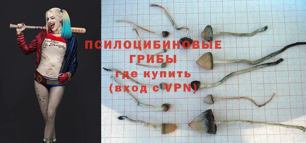 прущий лед Бронницы