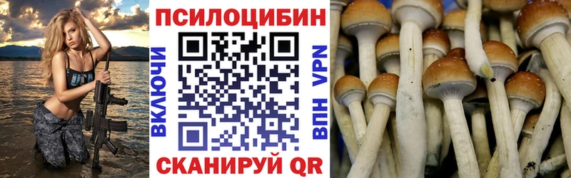 Галлюциногенные грибы мицелий  Купить где  Рошаль 
